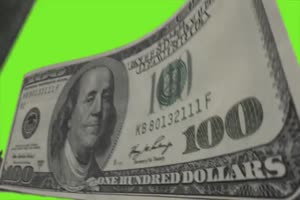 美元 美金 绿屏抠像素材
